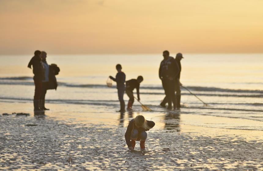 L'Instant Bed & Breakfast Cayeux-sur-Mer Eksteriør bilde